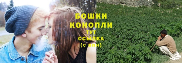 соль ск Касимов