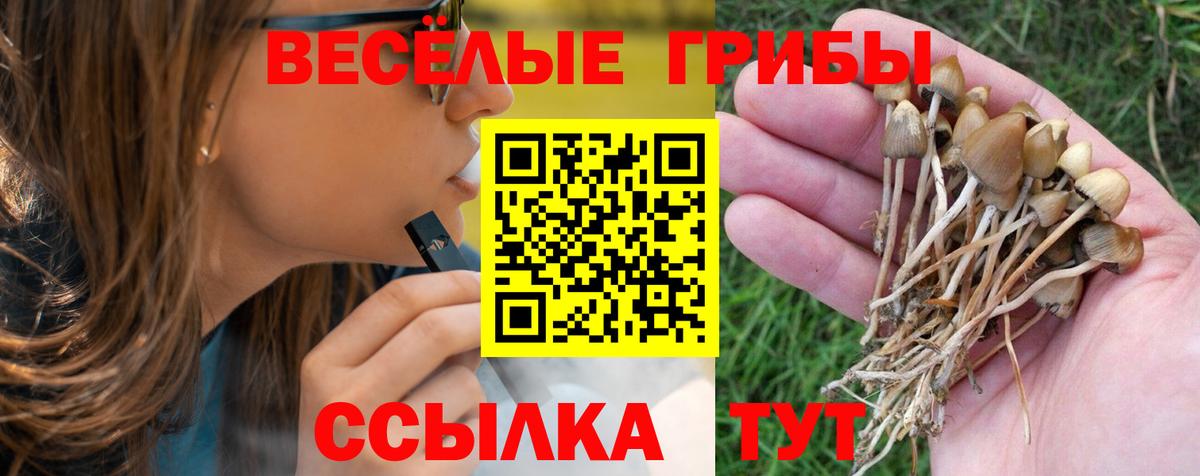 где купить наркоту  Галлюциногенные грибы GOLDEN TEACHER  Вход с VPN  Псилоцибиновые грибы Psilocybine cubensis  Шарыпово 